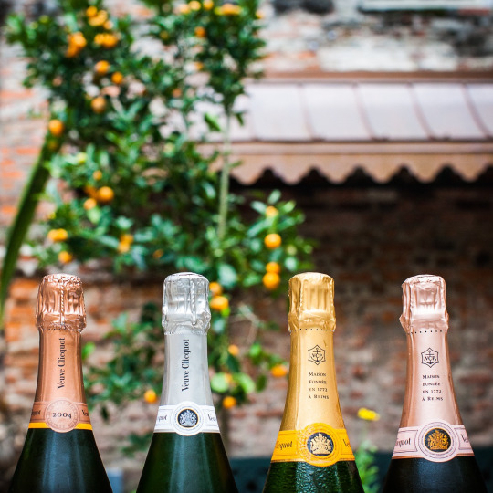 tumblr_nxczg0gfmt1u8t3kto1_540