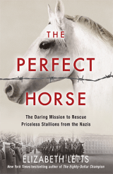 The-Perfect-Horse